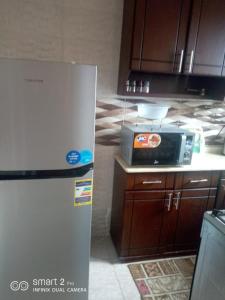 Modern studio With garden