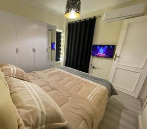 Modern studio With garden