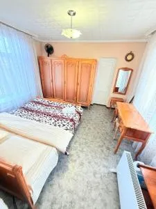 Inessa Hostel Room Комната в Хостэле - Budeşti
