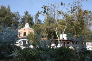 Enjoy, make another sense