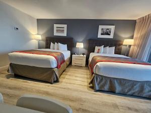 Ocean front paradise studio with ocean view and beach exit