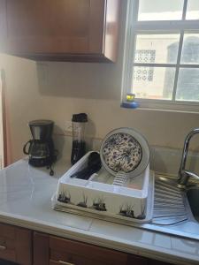 Kingsland Heights Studio