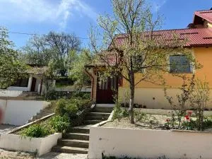 Peaceful Home with Igman Views - 哈季奇