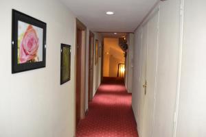 Hotels Saint Ferreol : photos des chambres