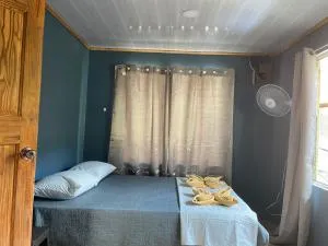 Anluka House Corcovado - Tapantí