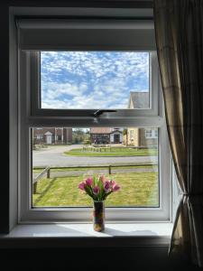 Brada View - Bamburgh, Northumberland