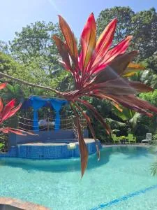 Hotel 3 Bamboo Ecolodge - Tuba Creek