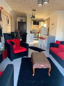 مدينتي القاهره الجديده