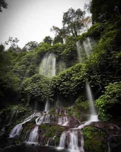 Serenity Lodge Tetebatu Lombok