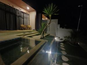 The Jungle Sunrise Private Room and Jacuzzi