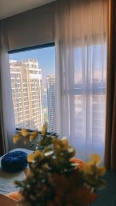 Không hoạt động