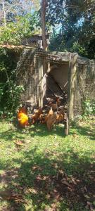 Aconchegante sítio para lazer e descanso