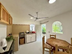 Casa Tropical Starlink - Malucano