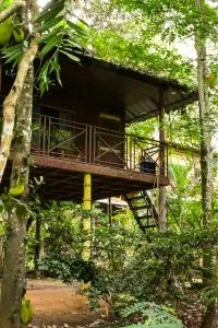 Monsoon Retreats Treehouse - Vandiperiyār