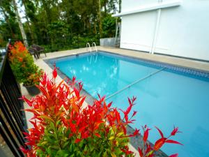 Oasis Apartment with Pool in Vythiri