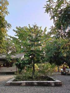 Van Vagdo Prakruti Nivas