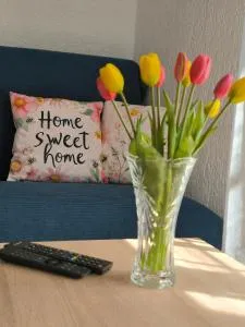 Studio apartman Finally - Ustrine