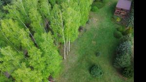 Dom Wakacyjny z ogromnym ogrodem