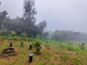 Zibu Stays - Halebīd