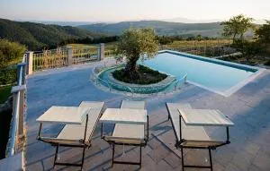Amazing Home In Trevinano With Private Swimming Pool, Can Be Inside Or Outside - Monte Rubiaglio