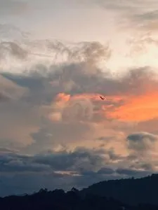 Beauty Haven - Katugastota