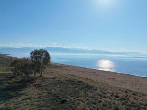 Boho Nomad Seaview Detached House