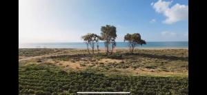 Boho Nomad Seaview Detached House