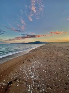 Boho Nomad Seaview Detached House