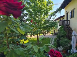 Camera Familiare