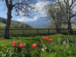 Ferienwohnung am Fuße der Rax