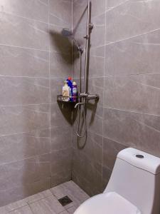 serene suites two bedroom apartment with heated swimming pool fully equipped gym ample parking space child play area and a relaxing rooftop with scenic views