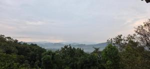 Mountain View Villas