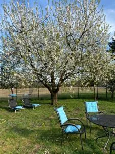 Friedas Glück - Dannenberg