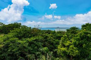 BBQ可能 最大6名 美ら海水族館 エメラルドビーチまで車で5分 ペンション美ら海 Pension Churaumi