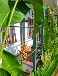 Guest House d Valeri