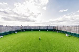 THE ROOF TOP TERRACE -vacation rental-