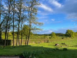 B&B / Chambres d'hotes Masoe des Chatards : photos des chambres