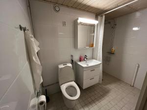 Siisti ja viihtyisä yksiö