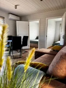 Carnikavas Piestātne vacation homes near the sea - أدازي