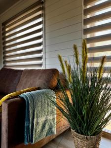 Carnikavas Piestātne vacation homes near the sea