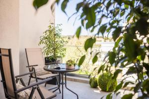 Aparktion-The Ostria Nest