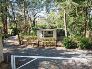 Chalet in Hattemerbroek Boshuisje Dennenrust