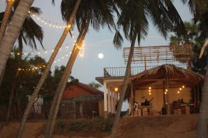 Saltwater Surf Camp