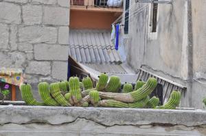 Modern Studio in the city center