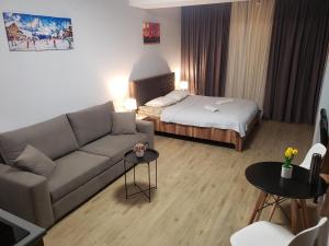 Bakuriani - Didveli Gallery, B 203