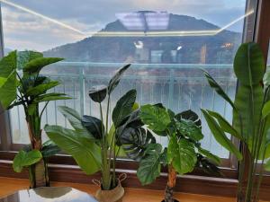 최고의뷰 강변리조트