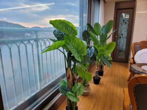 최고의뷰 강변리조트