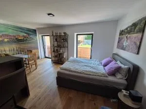 RITTERTAL Altmünster Traunsee Apartment - Traunkirchen