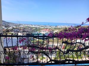 Villa with pool in Goldcity tourism complex