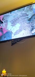 Suburbia tranquility